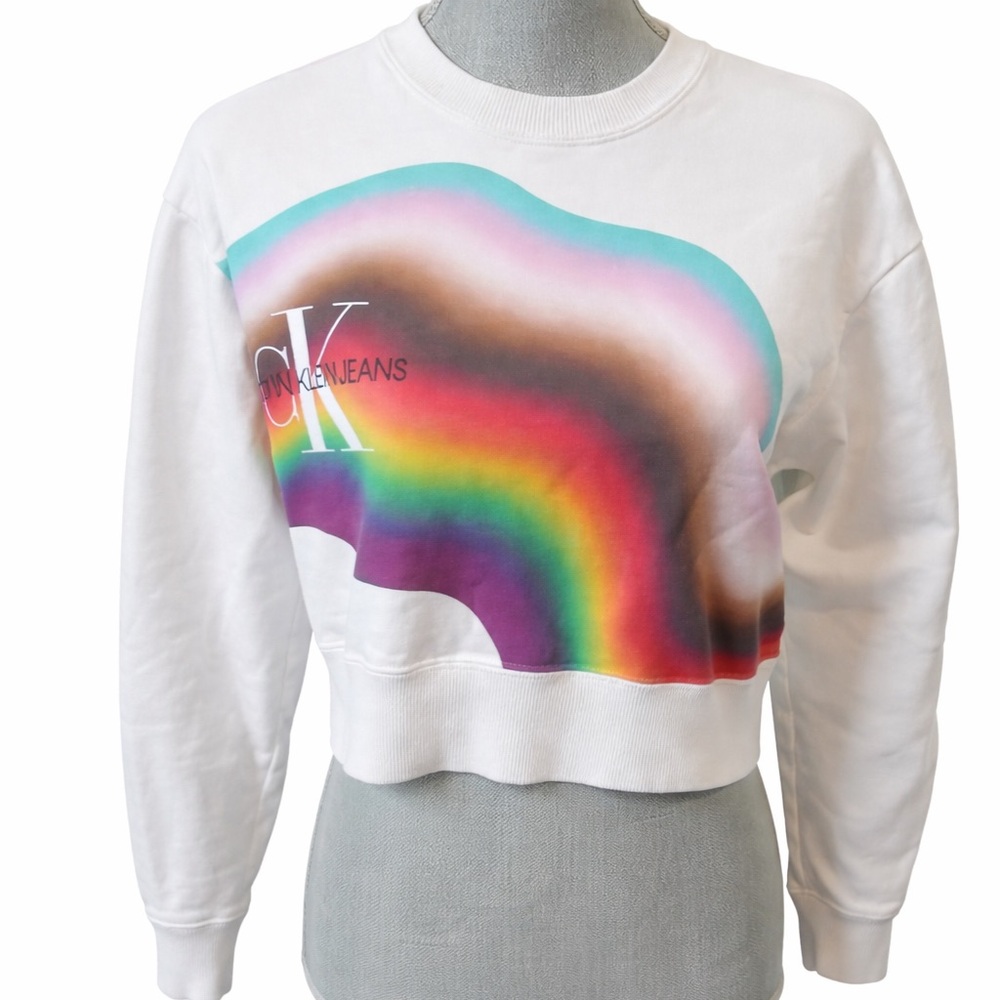 Calvin Klein Jeans Rainbow CK Logo Cropped Sweatshirt XS